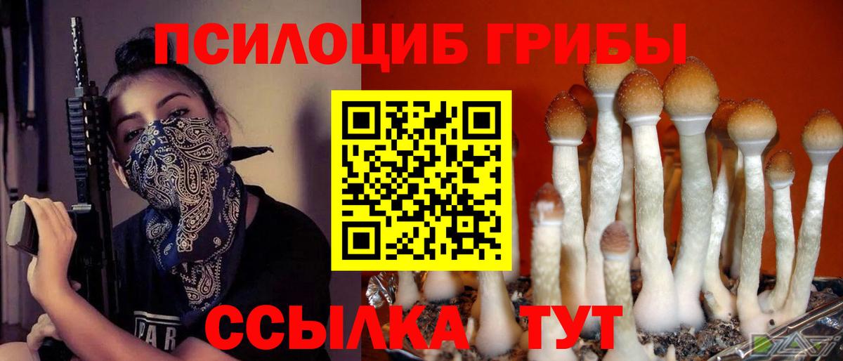 Псилоцибиновые грибы мицелий Великий Новгород